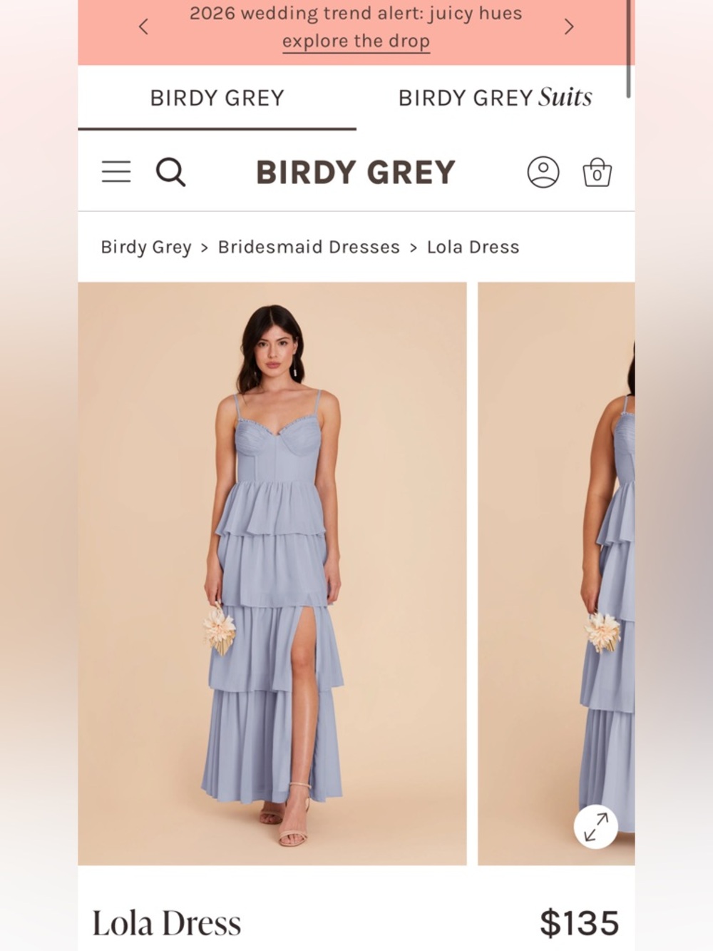 Birdy Grey Lola Maxi Dress in Dusty Blue